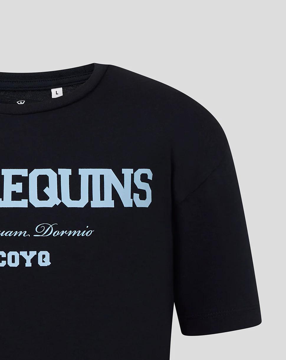 JUNIOR VARSITY TEE - BLUE - Image 3