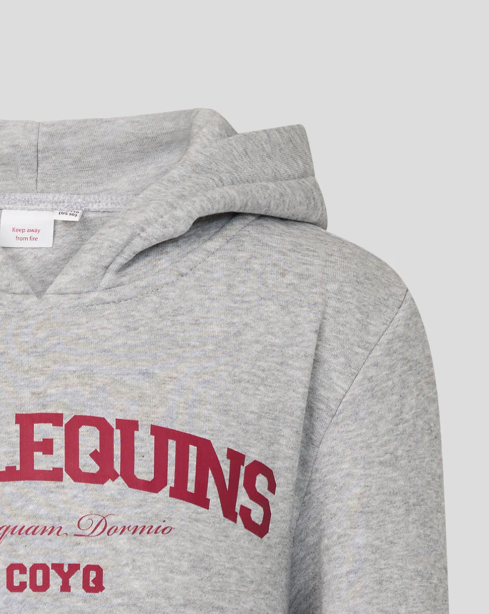 JUNIOR VARSITY HOODIE - GREY/PINK - Image 3