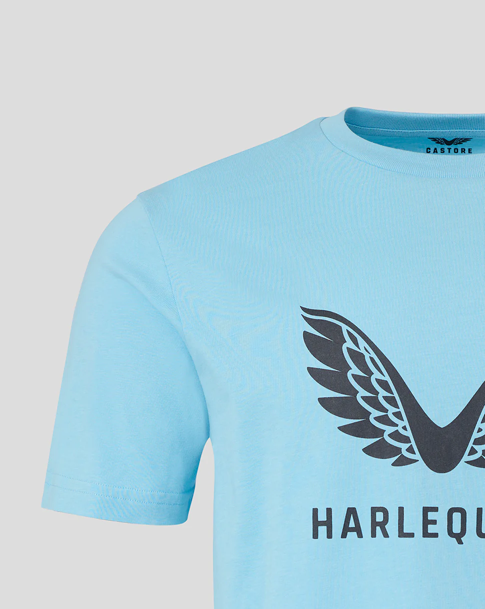 MENS 25/26  PRESENTATION LOGO TEE - SKY BLUE - Image 2