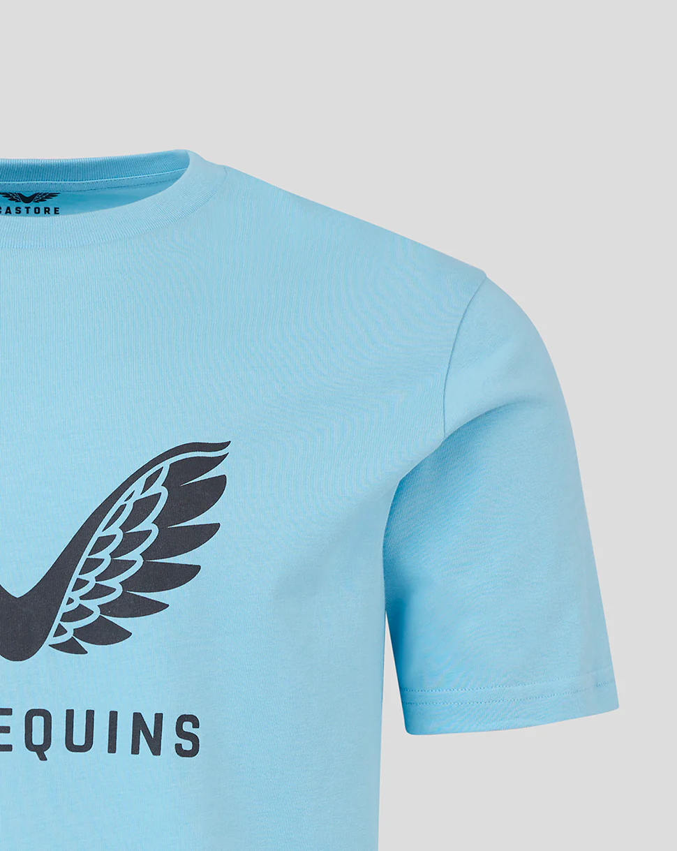 MENS 25/26  PRESENTATION LOGO TEE - SKY BLUE - Image 3
